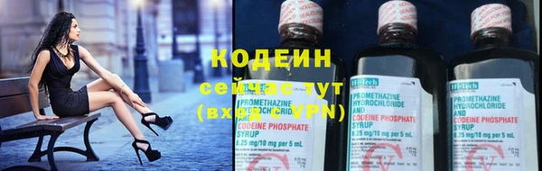 ПСИЛОЦИБИНОВЫЕ ГРИБЫ Богданович