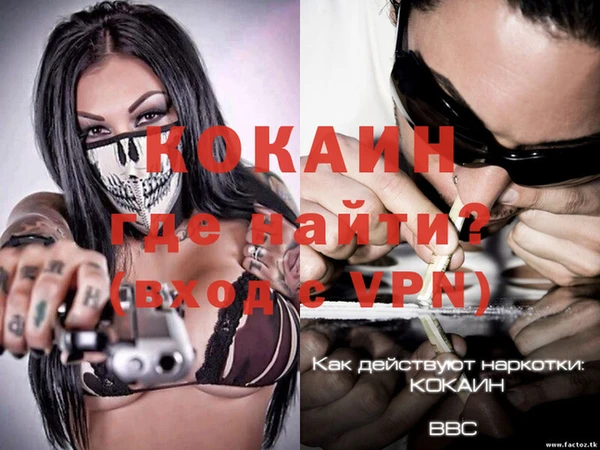 ПСИЛОЦИБИНОВЫЕ ГРИБЫ Богданович