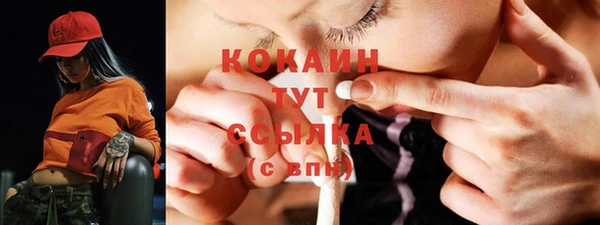 ПСИЛОЦИБИНОВЫЕ ГРИБЫ Богданович