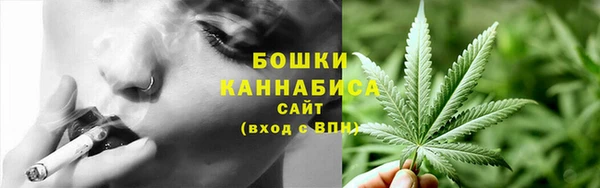 PSILOCYBIN Костерёво