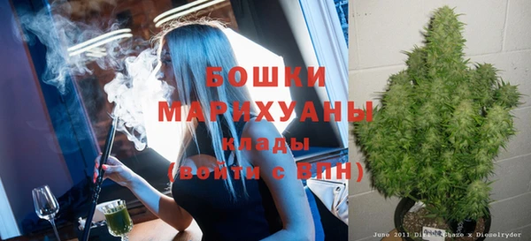 ПСИЛОЦИБИНОВЫЕ ГРИБЫ Богданович